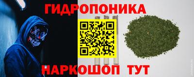трава Комсомольск-на-Амуре