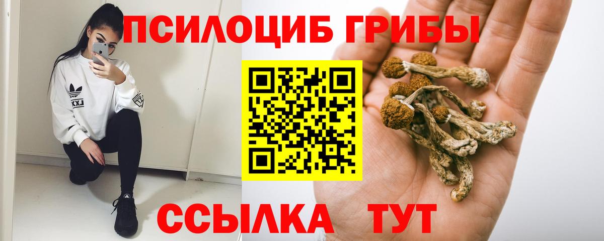 Каменск-Шахтинский  Псилоцибиновые грибы мицелий  Вход с VPN 